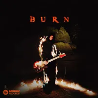 Lum!X — Burn (Feat. Séb Mont) — обложка